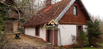 Sprzedam urokliwe siedlisko w środku lasu