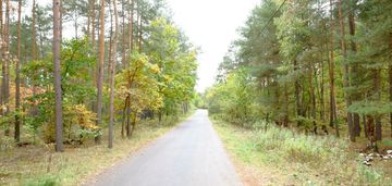 Białołęka dworska - urokliwa mała działka w lesie