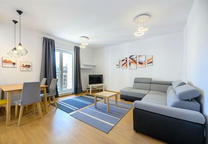 Apartament do wynajęcia blisko akademii medycznej