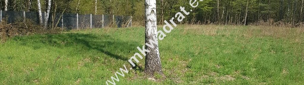 Działka - druga linia zabudowy