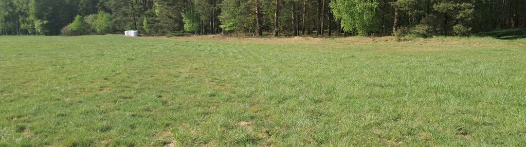 Spokojna działka siedliskowa -twoja przestrzeń