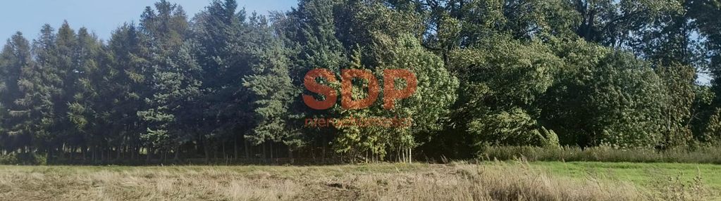 880 m² na twój dom – spokojne pełczyce