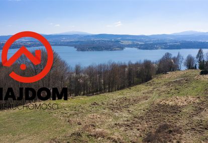Widok na jezioro i sąsiedztwo lasu