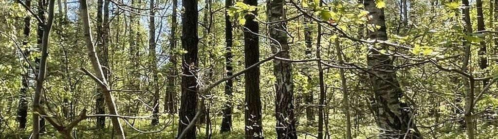 Działki na sprzedaż – ciemne k. radzymina