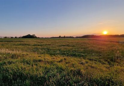 Działka budowlana | łukomierz | gm.siemkowice