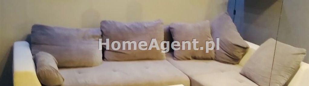 Wyjątkowy najemca poszukiwany ! bażantów katowice