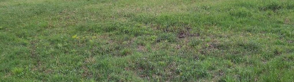 Działka budowlana wawer – aleksandrów, 860 m2 wz