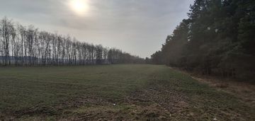 Dwie działki budowlane po 1000 m² w boroszkowie