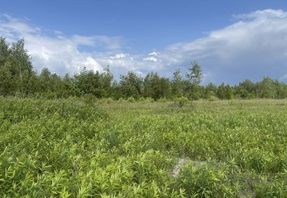 Działka inwestycyjna – 3 508 m² teren 1.u ciemne.