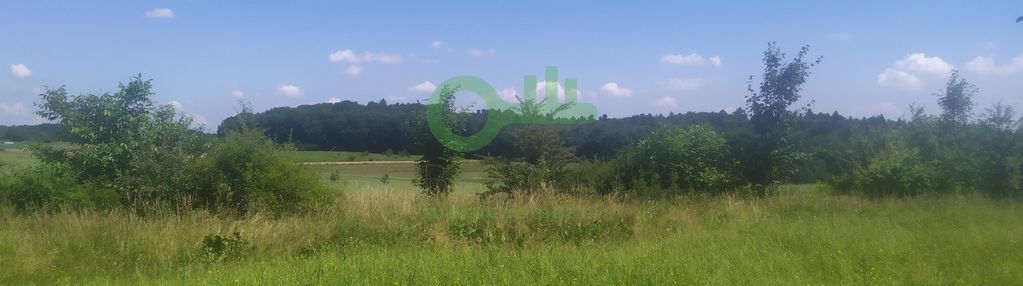 Działka blisko ojcowskiego parku narodowego.