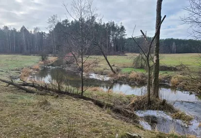 Działka na sprzedaż 5600m2