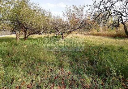 Duża, pełna zieloności działka nieopodal lasu