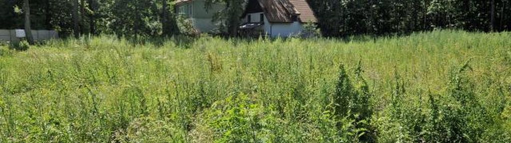 Działka budowlana w pobliżu lasu