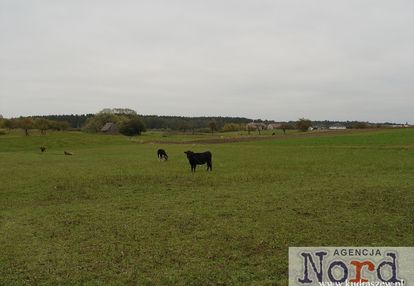 Działka budowlana 3335 m² – augustów