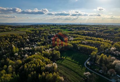 3,33 ha z lasem i strumykiem - teren pod zabudowę