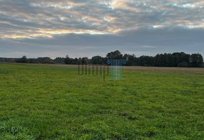 Działka brzoza ok 2,2 ha