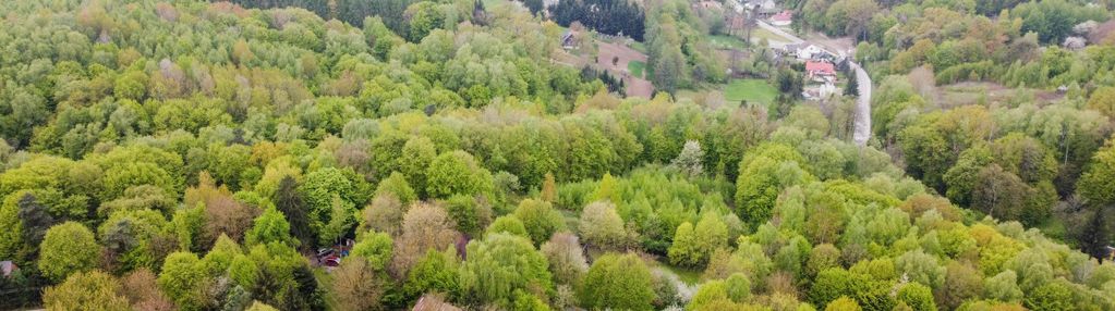 Klimatyczne miejsce w kazimierzu dolnym nad wisłą