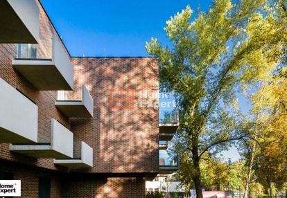 Okolice ul. między rzeckiej