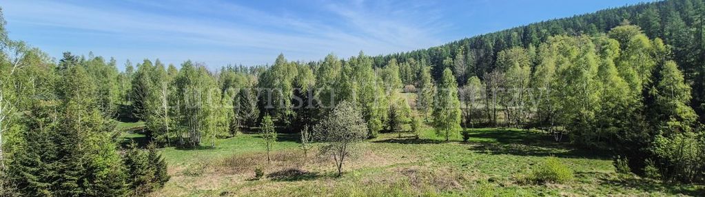 Nietuzinkowa nieruchomość pod lasem