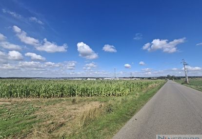 Działka inwestycyjna suchożebry (przy dk63)