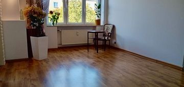 Dwa przestronne pokoje, 54 m2.