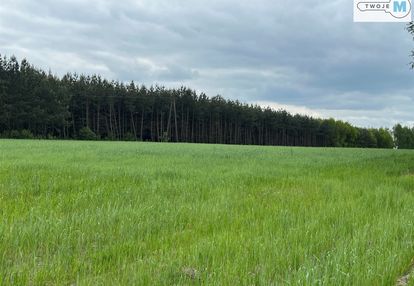 2,5 ha działki rolnej w okazjonalnej cenie