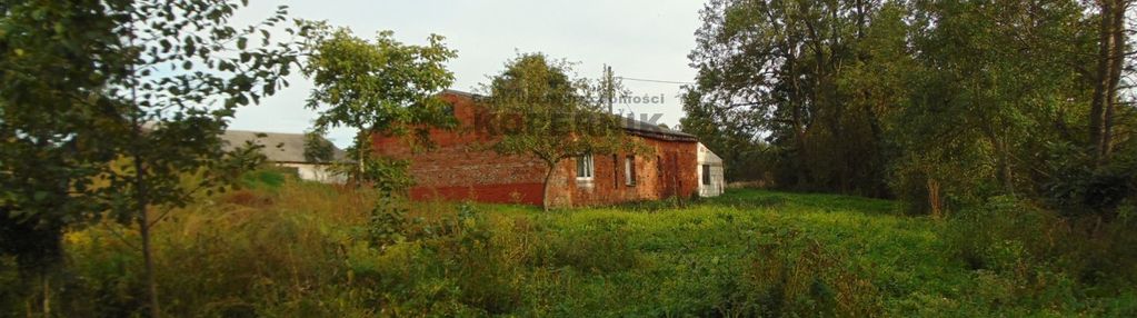 Siedlisko blisko torunia!!!!