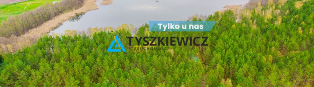 Las z linią brzegową jeziora - piece %nowa cena%