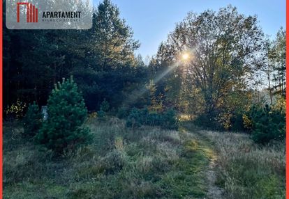 Działka budowlana - widok na las, zadbana okolica