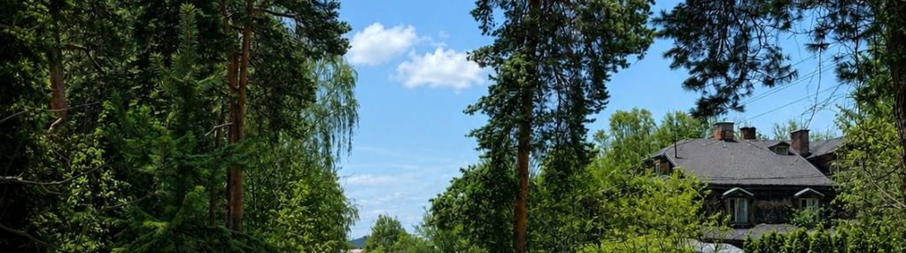 Celestynów | pkp | gaz woda prąd