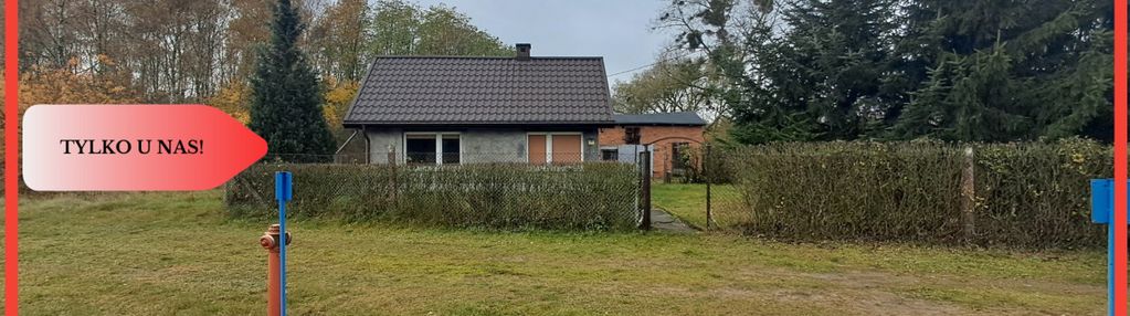 Uroczy domek w lesie. gmina kcynia