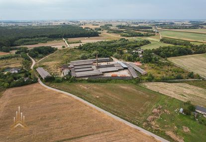 Teren inwestycyjny uzbrojony ~ 10 ha - pow. płocki