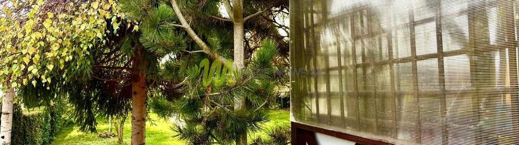 Duży taras, zadbany ogród