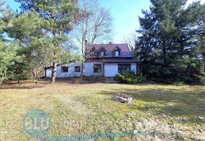 Wilków koło głogowa, dom w ogrodzie