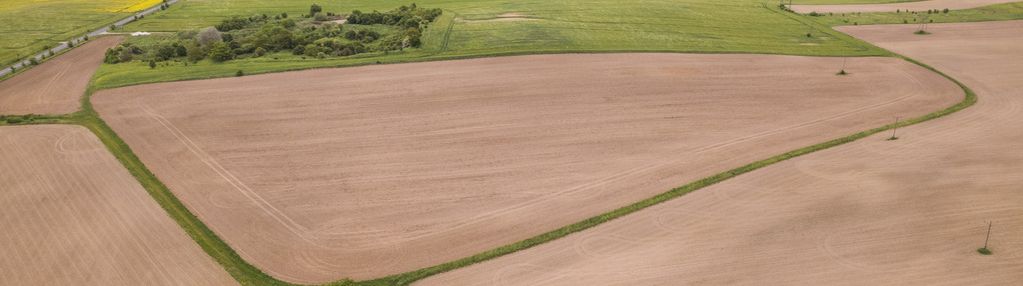 Działka w cedyni 5,36ha z warunkami zabudowy