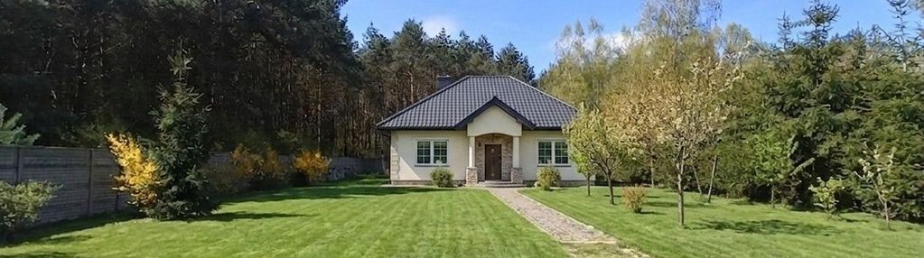 Działka budowlana ze ścianą lasu