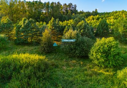 Działka z wz na dom całoroczny nad słupią, 85 arów
