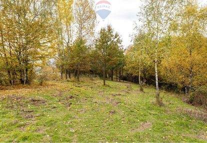 Działka leśna 862 m² w oczkowie