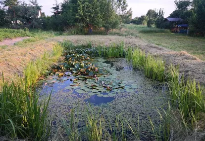 Działka na sprzedaż 800m2