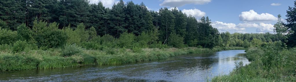 Sosnowy azyl - twój prywatny las i nowoczesny dom