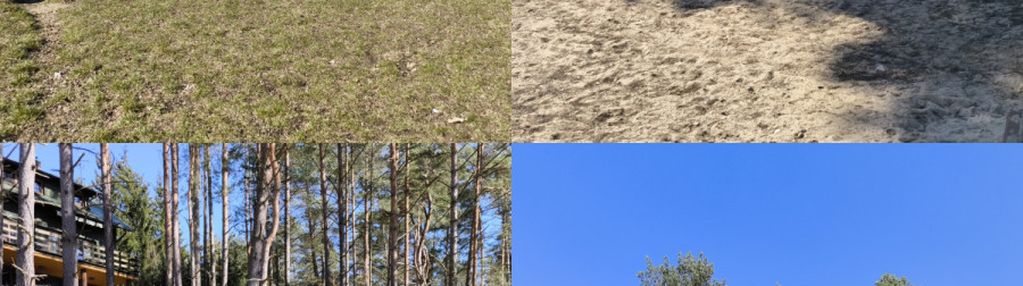 Działka w otulinie lasów na sprzedaż!