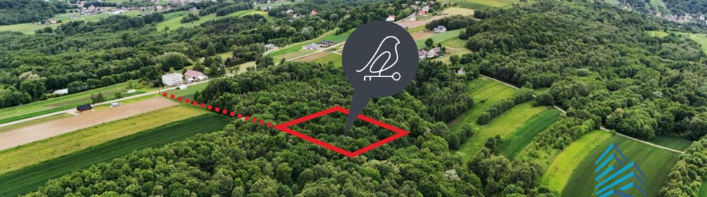 Las na sprzedaż – porąbka uszewska, 62 ary