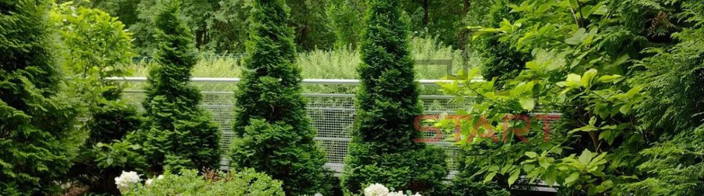Piękne 2 pok z ogrodem w wysokim standardzie