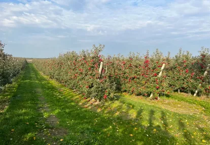 Działka na sprzedaż 5900m2