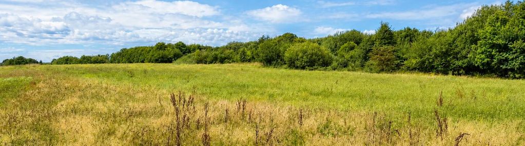 5 ha w sercu wysoczyzny elbląskiej – ogrodniki