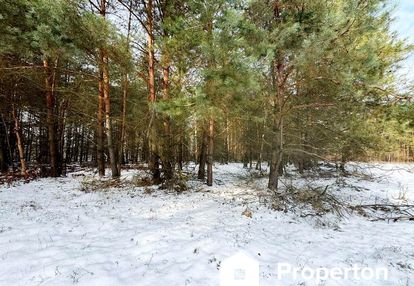 Na sprzedaż ponad hektar  lasu – baranów /lubelski