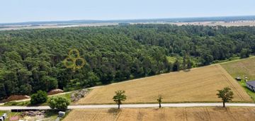Działka 1355 m² przy lesie | srocko małe