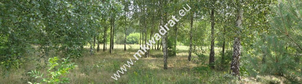 Ojrzanów 1000m2 w dobrej cenie las media mpzp!!!