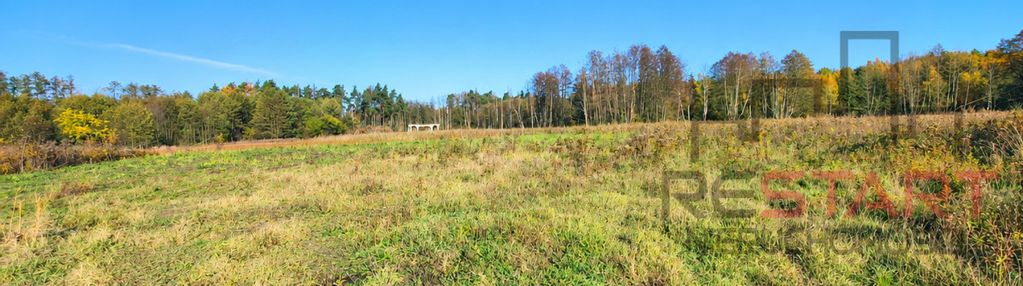 Urokliwa działka ze skrzynką elektryczną