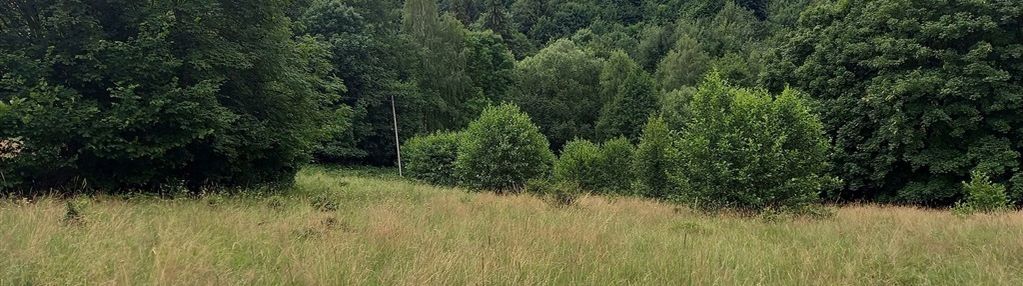 Widokowa działka otoczona lasem - brak sąsiedztwa